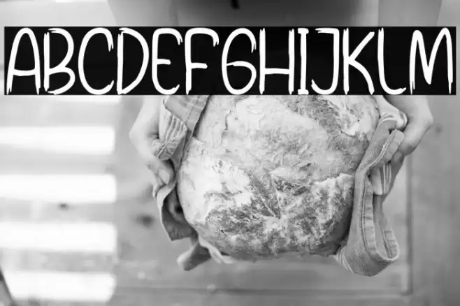 Short Zippers Font examples