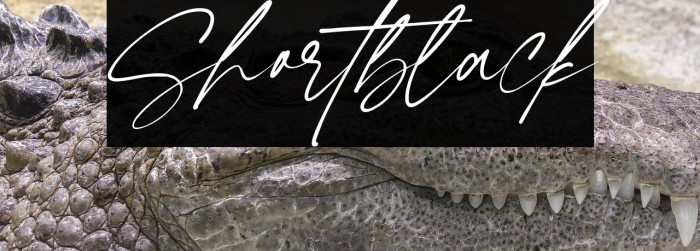 Shortblack Example 1