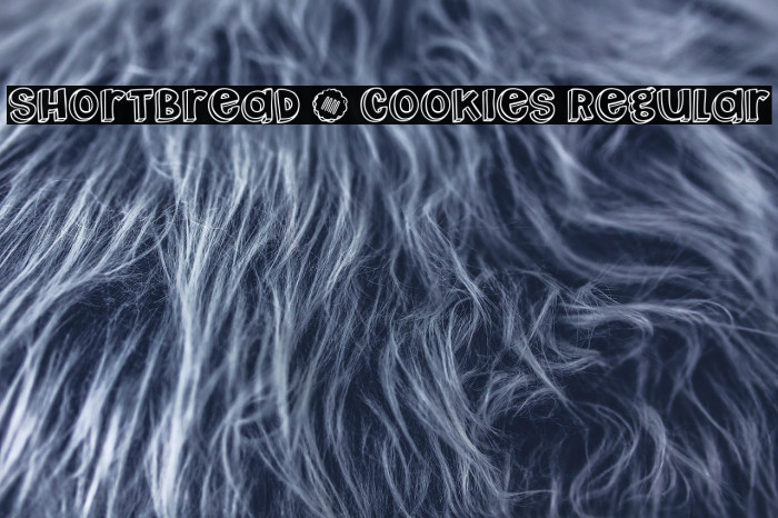 Shortbread _ Cookies Regular Example 3