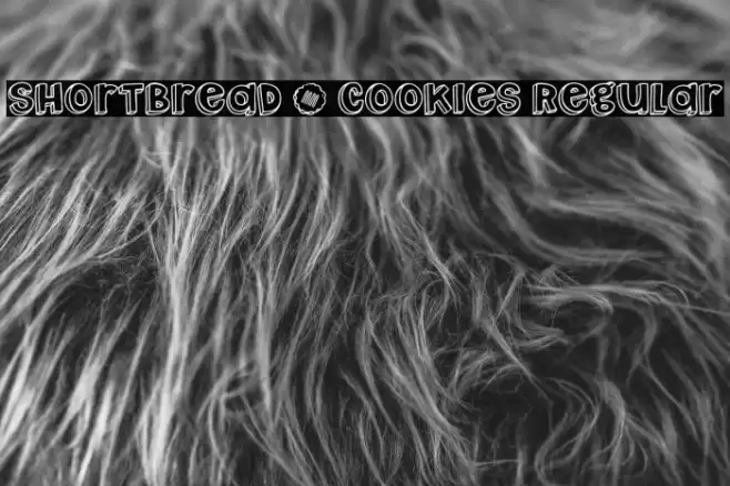 Shortbread _ Cookies Regular フォント examples