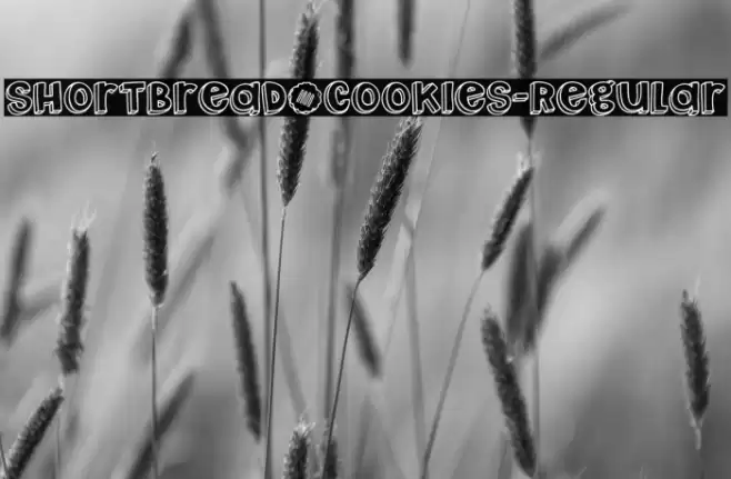 Shortbread_Cookies-Regular خط examples