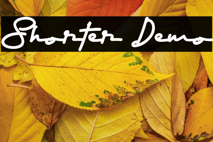 Shorter Demo Example 1