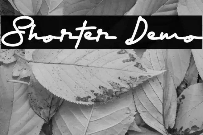 Shorter Demo Font examples