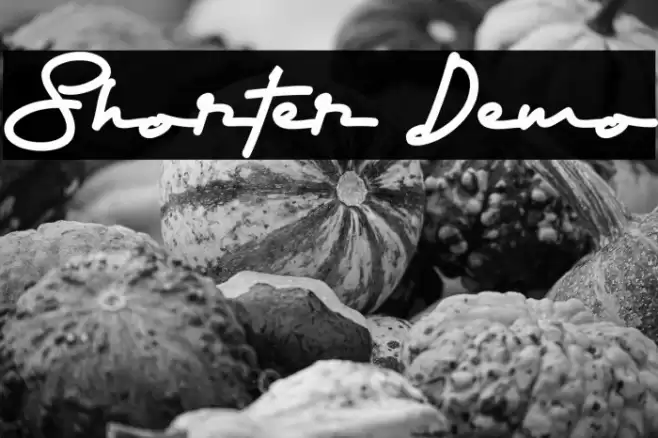 Shorter Demo Font examples