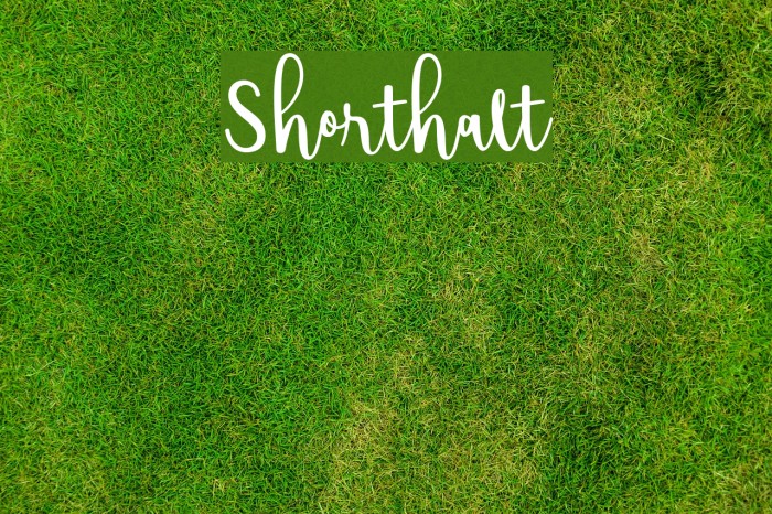 Shorthalt Font examples