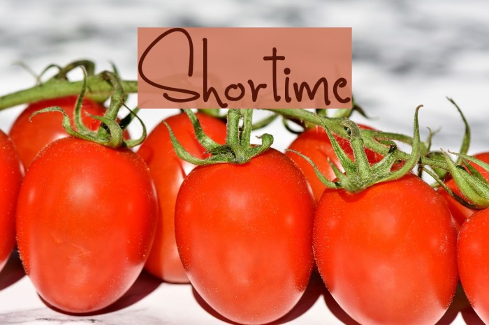 Shortime Font examples