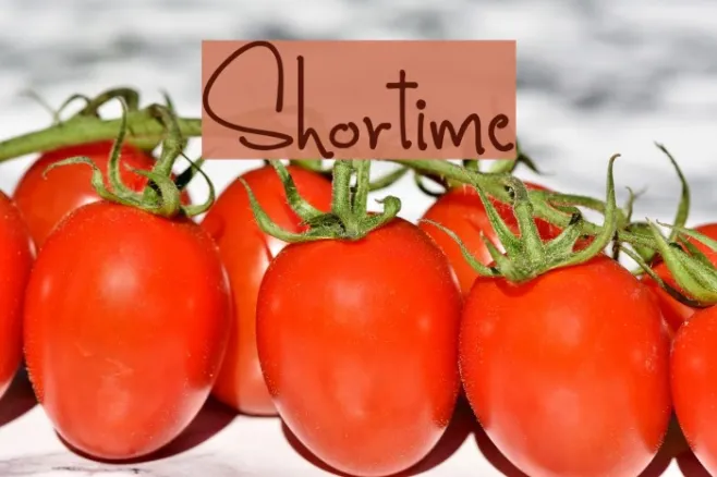 Shortime Example 1