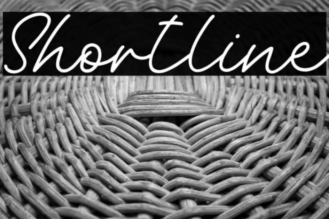 Shortline Polices examples