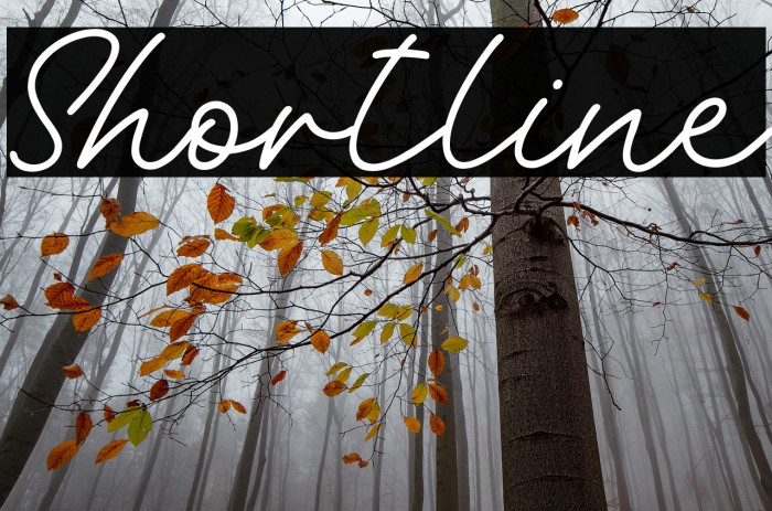 Shortline Example 2