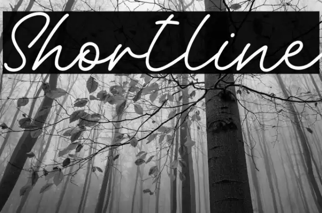 Shortline Polices examples