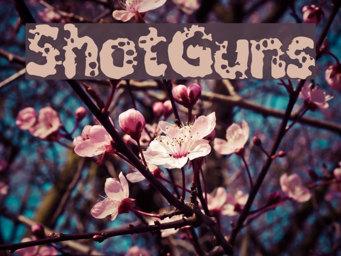 ShotGuns Font examples