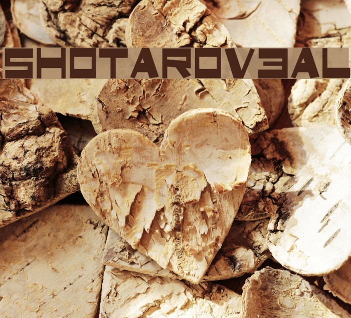 ShotaroV3AL Example 1