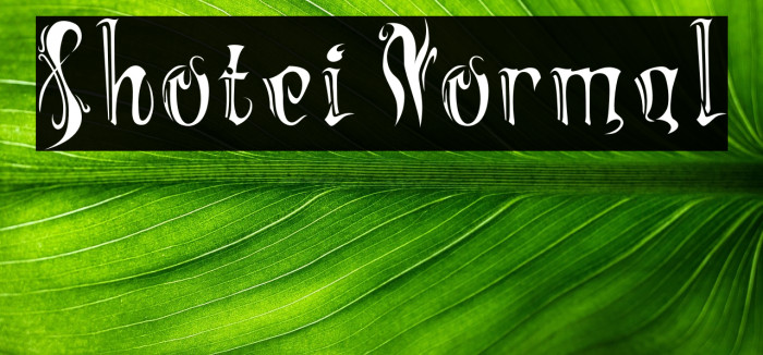 Shotei Normal Example 1