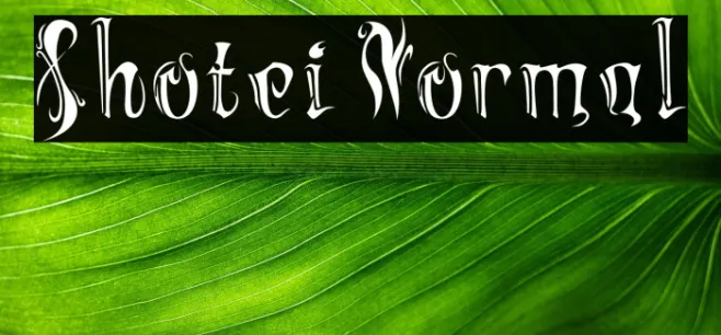 Shotei Normal Example 1