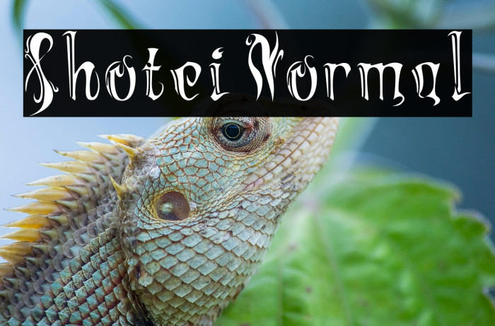 Shotei Normal Example 2