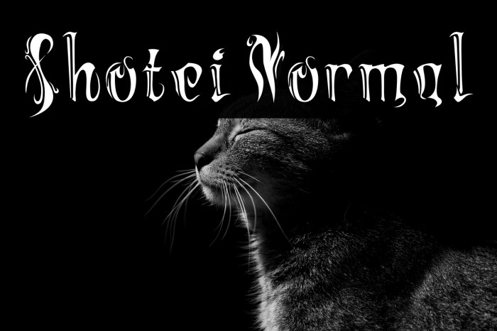 Shotei Normal Example 3