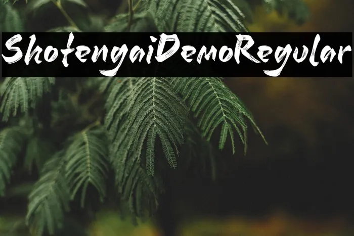 Shotengai Demo Regular Example 1