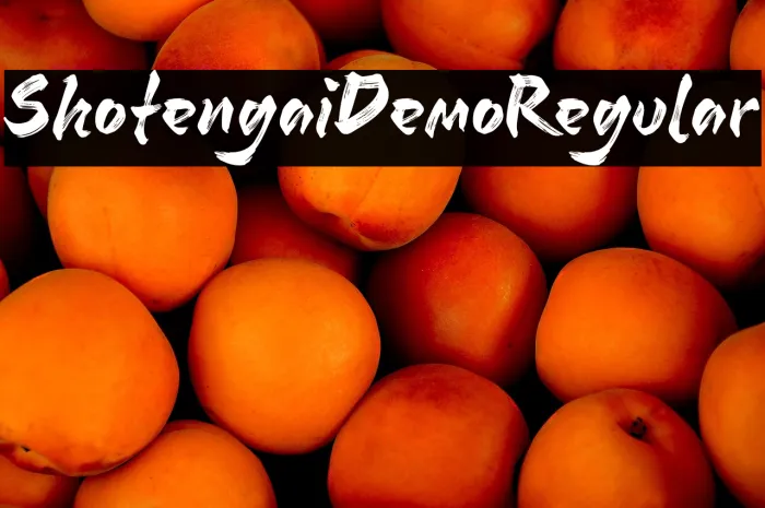Shotengai Demo Regular Example 2