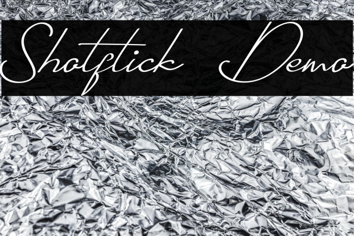 Shotflick Demo Example 1