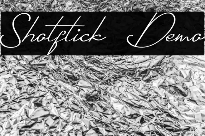 Shotflick Demo 字体 examples