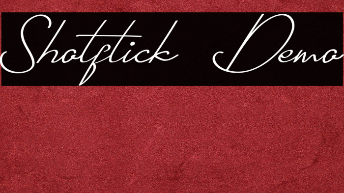 Shotflick Demo Example 2