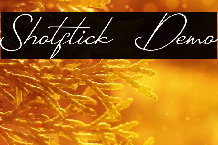 Shotflick Demo Example 3