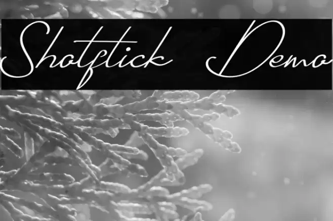 Shotflick Demo 字体 examples
