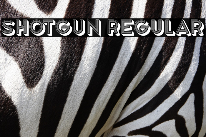 Shotgun Regular Example 1