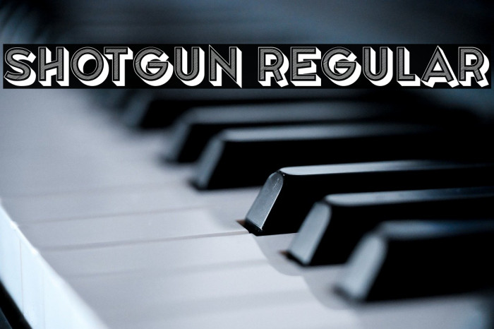 Shotgun Regular Example 2