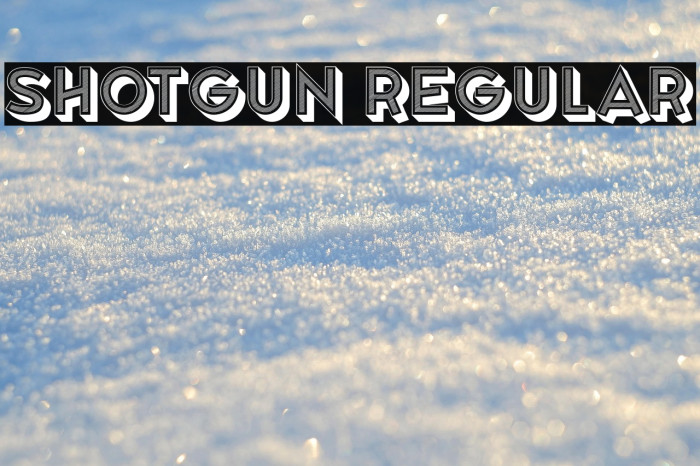 Shotgun Regular Example 3