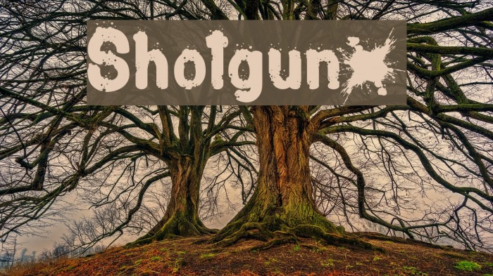 Shotgunµ Font examples