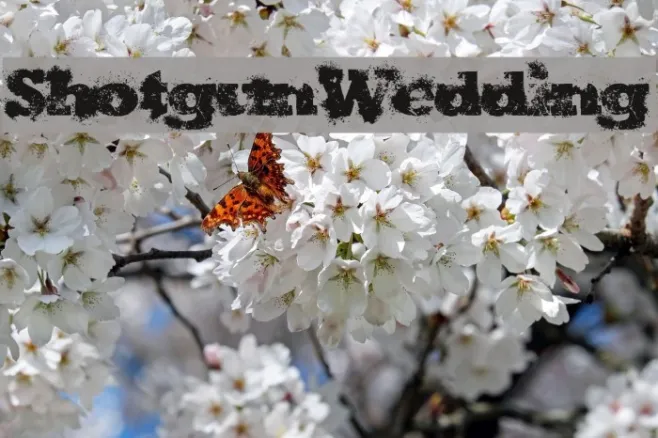 ShotgunWedding Example 1