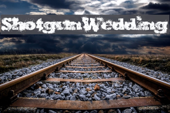 ShotgunWedding Font examples