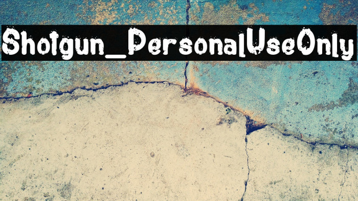 Shotgun_PersonalUseOnly Example 1