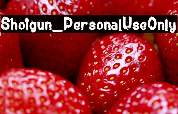 Shotgun_PersonalUseOnly Example 2