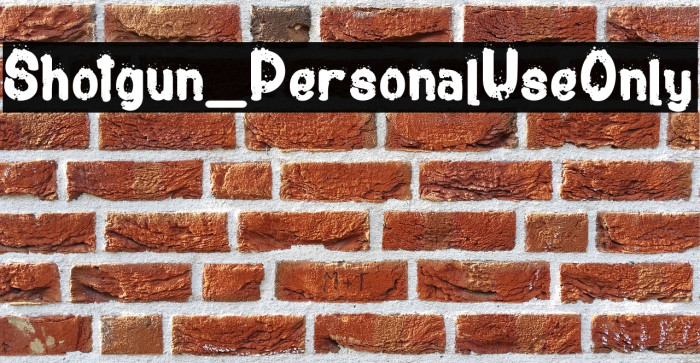 Shotgun_PersonalUseOnly Example 3