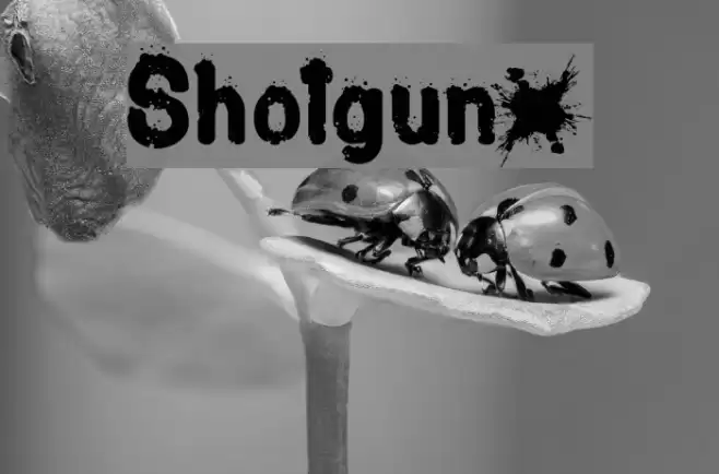 Shotgunµ Font examples