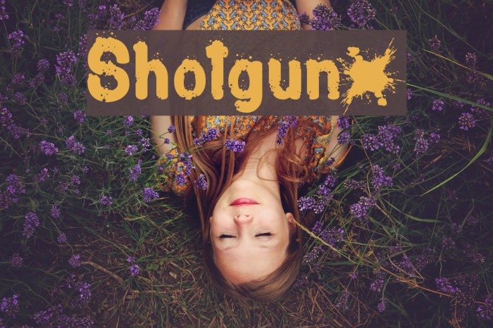 Shotgunµ Font examples