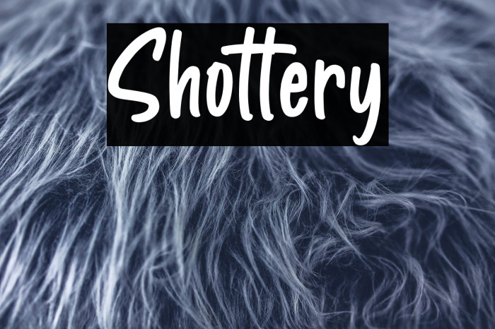 Shottery Example 1