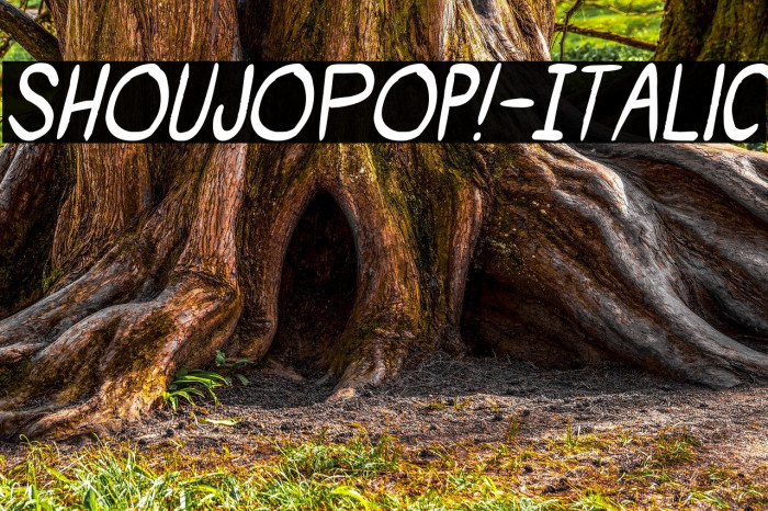 ShoujoPop!-Italic Font examples