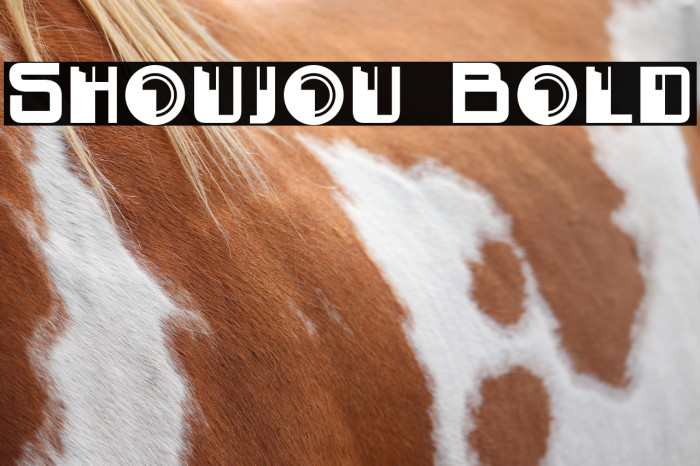 Shoujou Bold Example 1