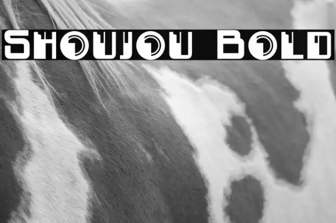 Shoujou Bold Font examples