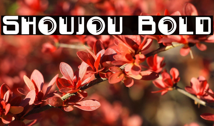 Shoujou Bold Example 2