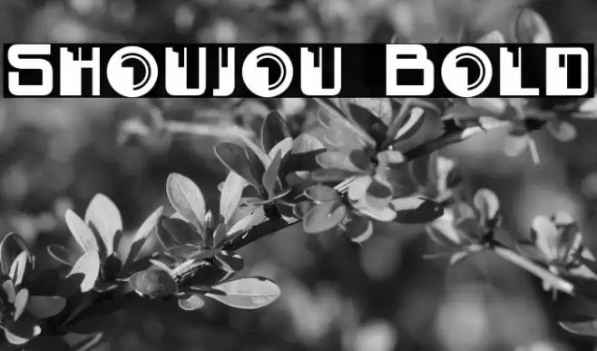 Shoujou Bold Font examples