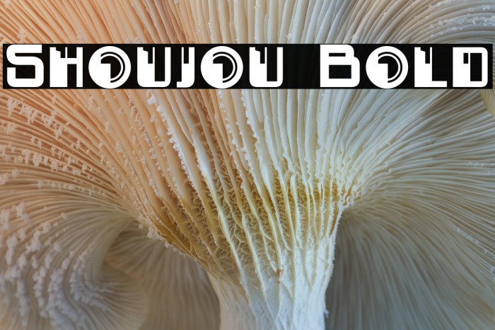 Shoujou Bold Example 3