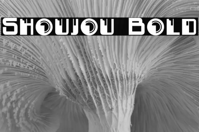 Shoujou Bold Font examples