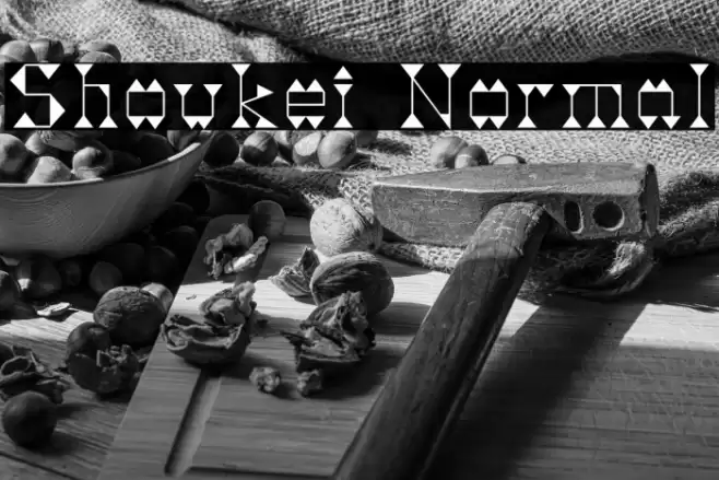 Shoukei Normal Font examples