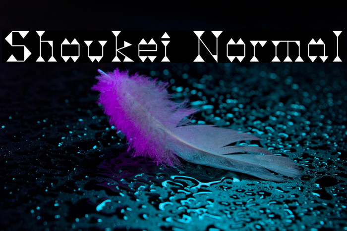 Shoukei Normal Example 3