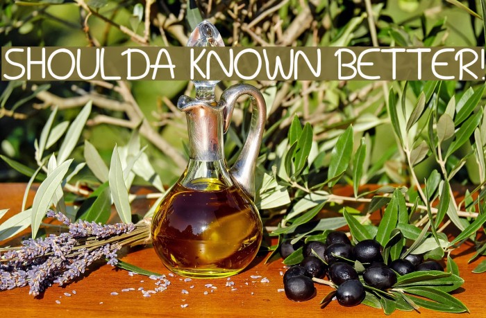 Shoulda Known Better! Font examples