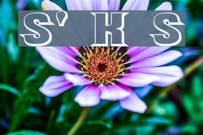 Should've Known Shaded Font examples